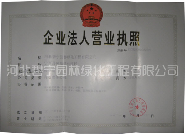 資質證書