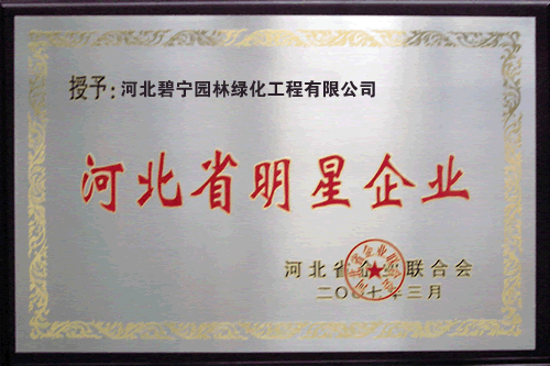 資質證書