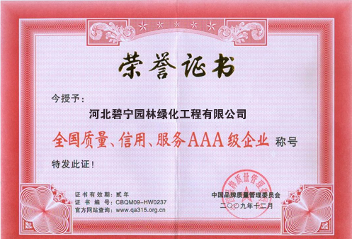資質證書